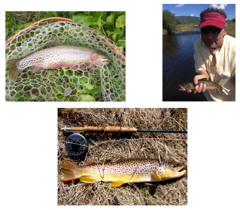 Colorado Fly Fishing Guides  Things to Do in Leadville Twin Lakes CO