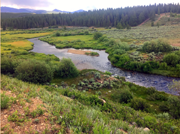 Colorado Fly Fishing Guides  Things to Do in Leadville Twin Lakes CO